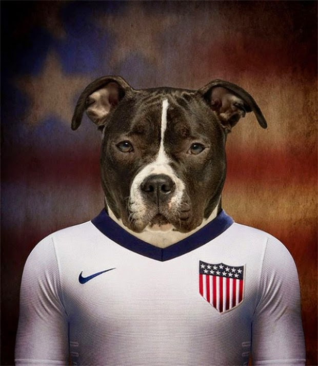Copa do mundo 2014 :Os cães jogadores e seus países de origem